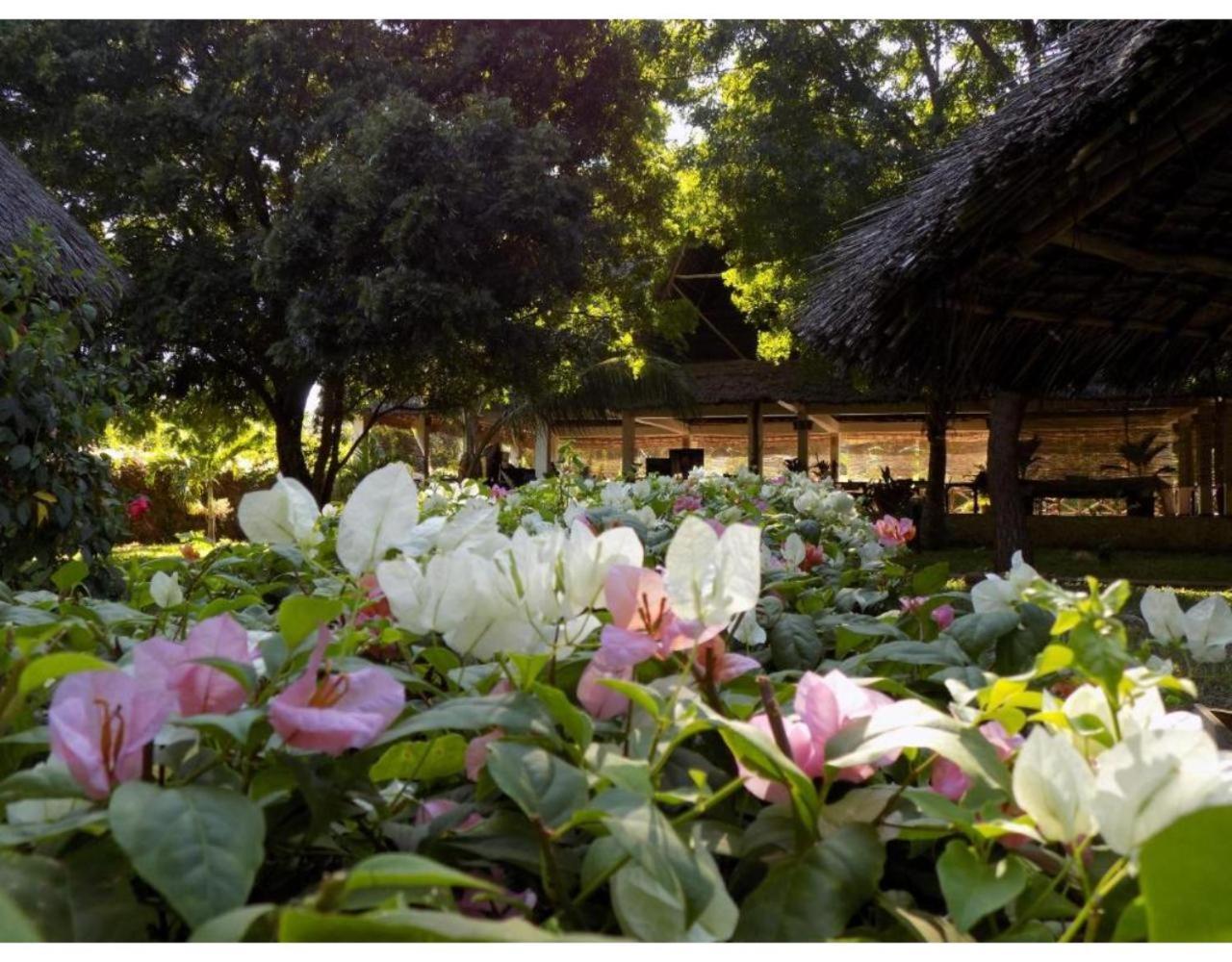 Eco Villas Watamu Luaran gambar